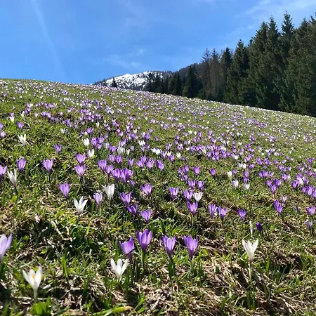 팜스테이 Neuhauserhof