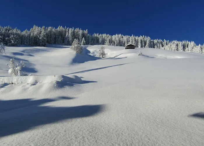 Neuhauserhof Kartitsch